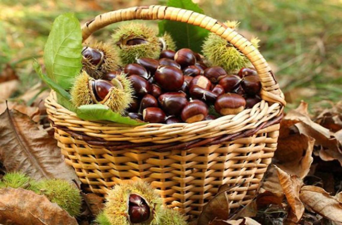 castagne