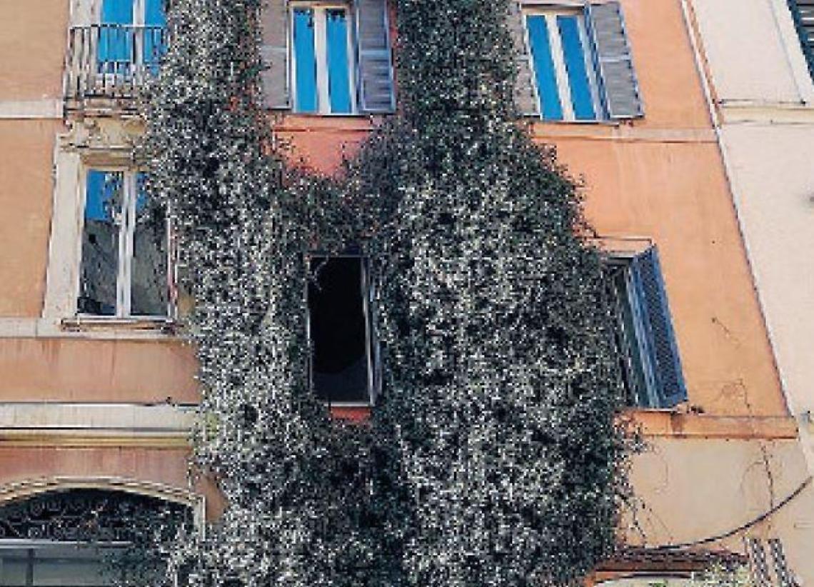 Ferentino, scarichi fognari sulle mura: come nascondere il degrado