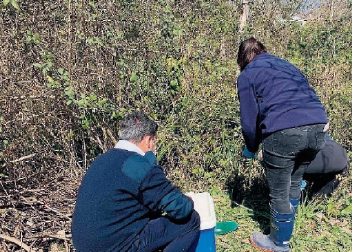 Fanghi rossi in un terreno: eseguiti i campionamenti dall'Arpa