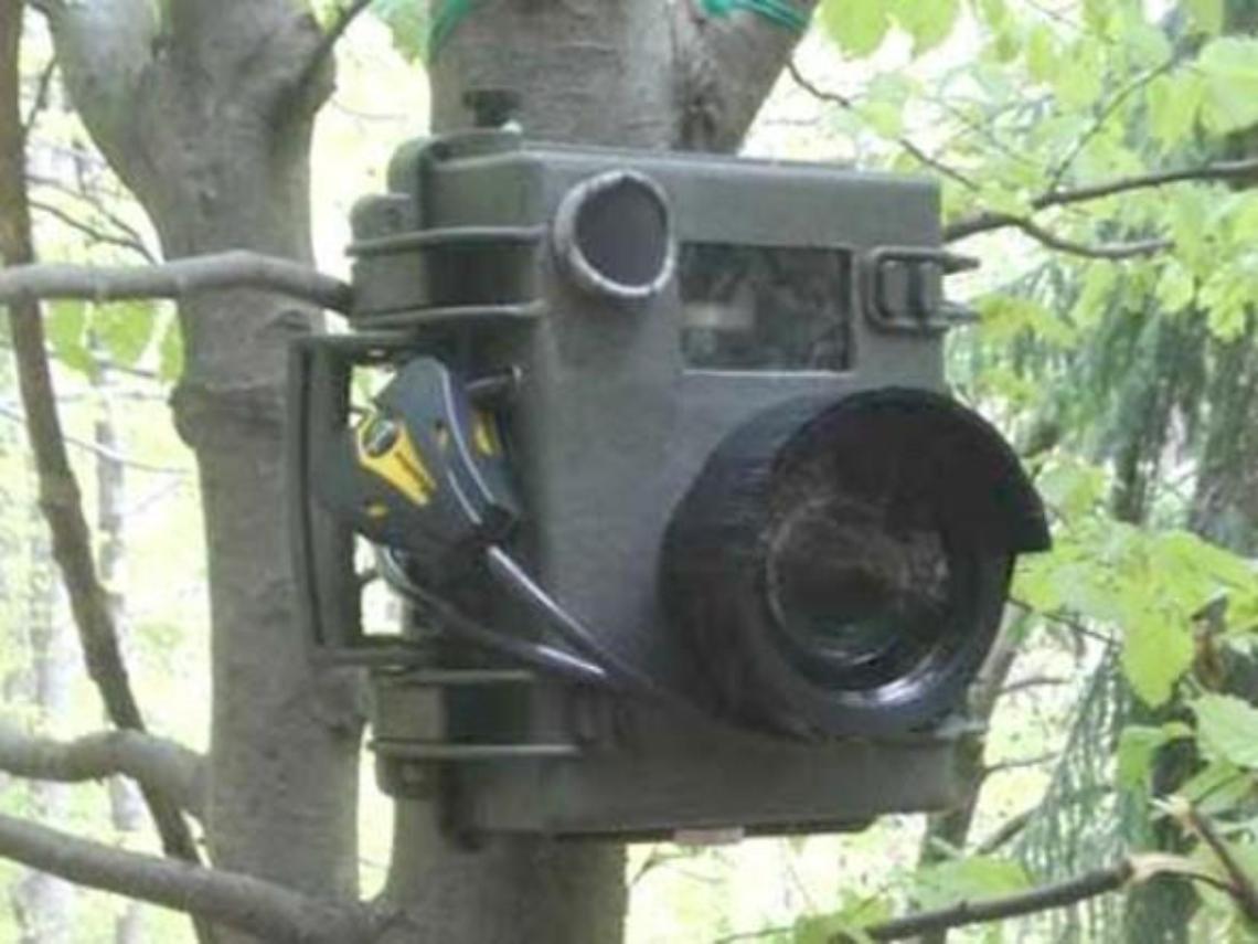 Abbandono incontrollato di rifiuti, caccia agli incivili: arrivano le fototrappole