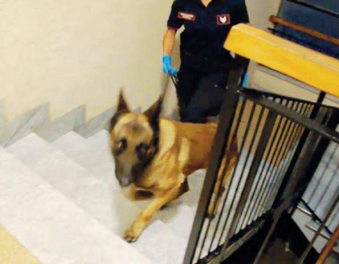 Droga dal Marocco in Ciociaria: la base di spaccio vicino ad alcuni bar. I particolari