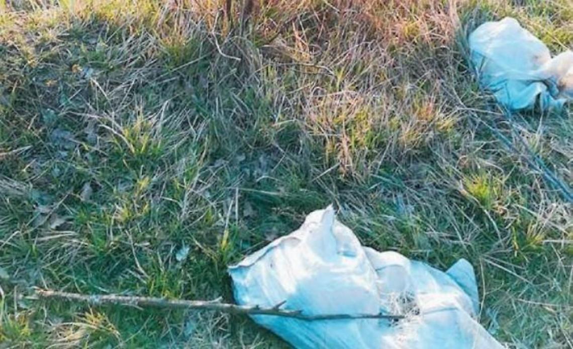 Carcasse di animali abbandonate tra l'erba: ipotesi macellazione clandestina?