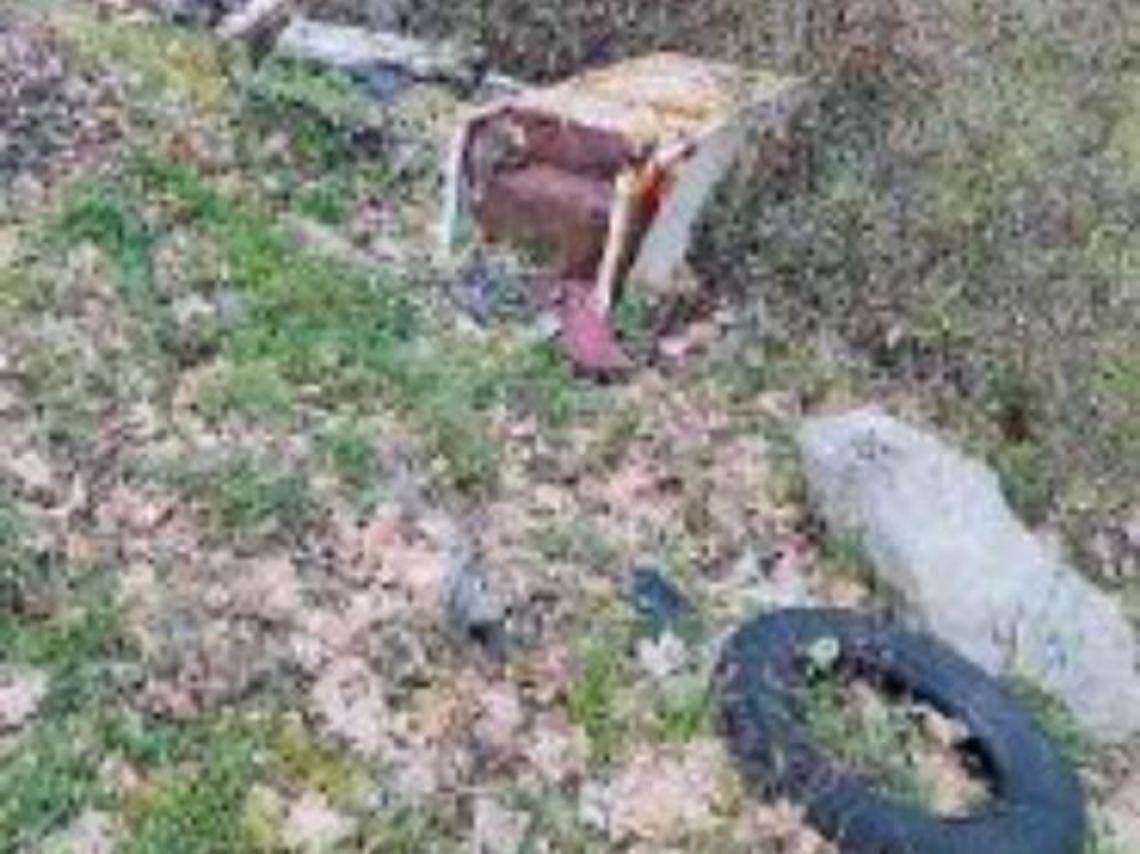 Rifiuti di ogni tipo abbandonati nei boschi: l'indignazione di un cittadino