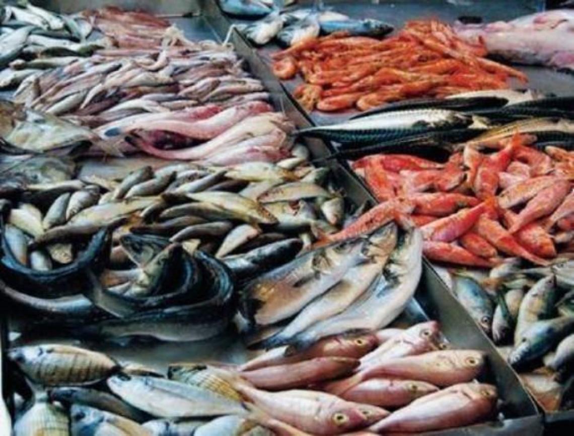 Pesce guasto al badante straniero: il brutto gesto è stato fatto di proposito
