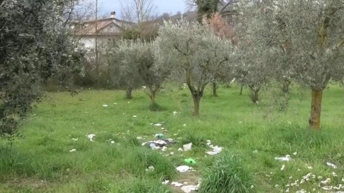 La mano degli incivili torna a colpire: rifiuti abbandonati tra gli oliveti