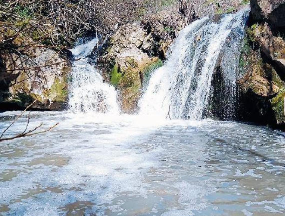 Meringo, schiuma bianca e moria di pesci: indagini a 360 gradi