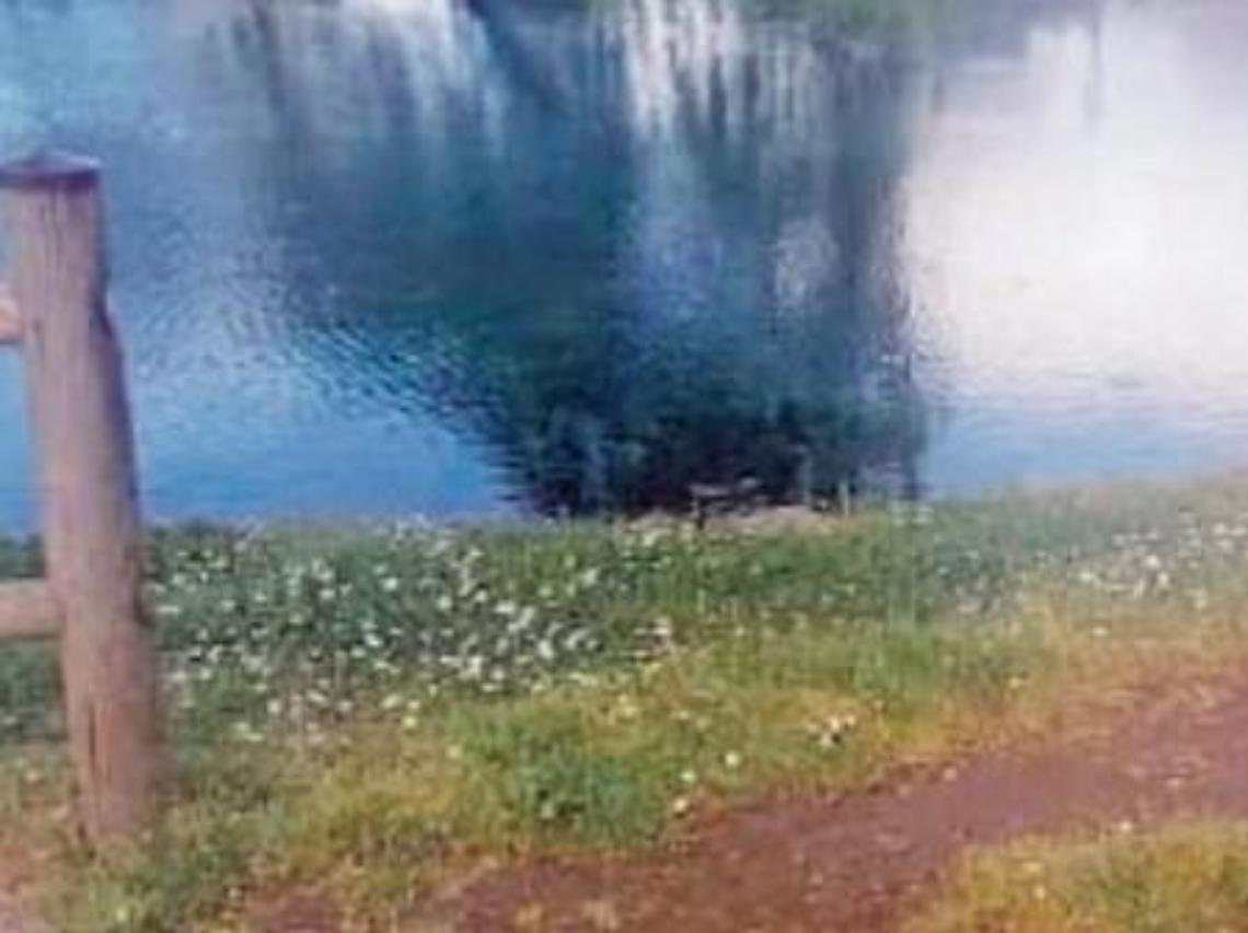 Doppio furto nella notte: i ladri rubano anche legna e galline