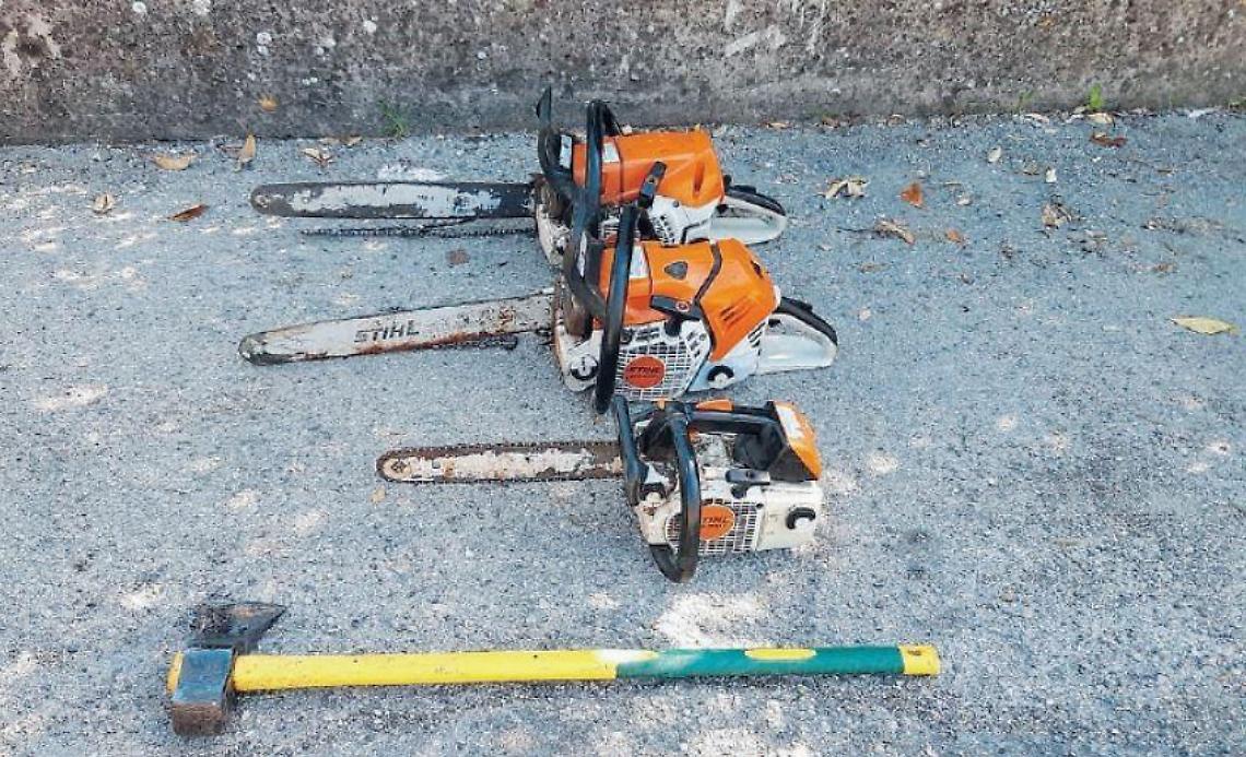 Assalto armato nella notte: con motosega e ascia contro l'ex
