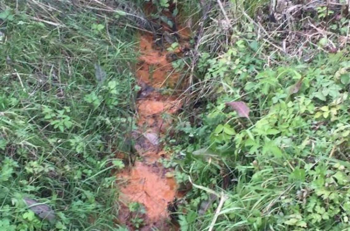 Acque rosse, fari puntati anche dalla Rai: "Si è rotto il muro del silenzio"