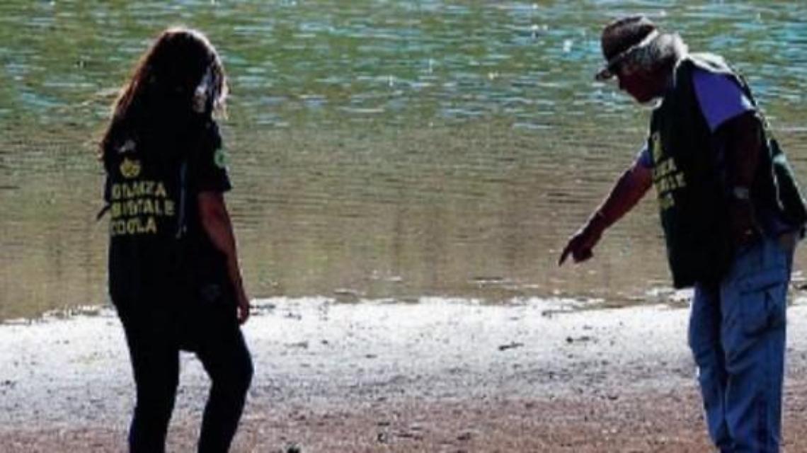 Bracconieri in azione a Canterno: cacciatori scoperti e denunciati
