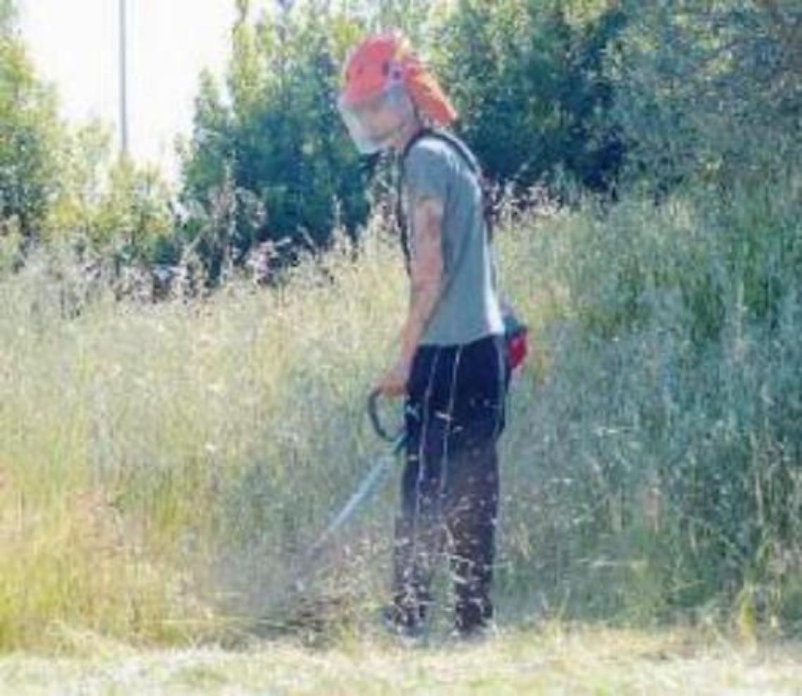 Obbligo del taglio erba su aree private, previste sanzioni per i trasgressori