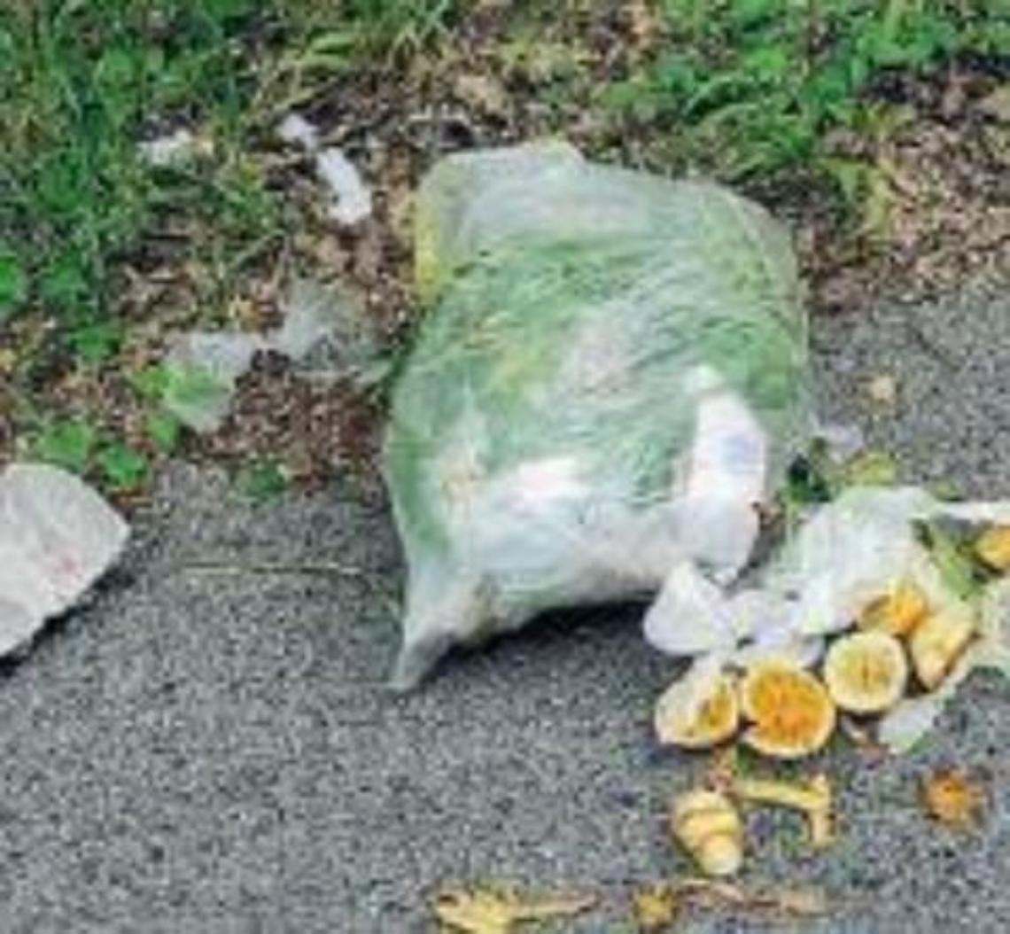 Buste di rifiuti lanciate dai finestrini: incivili nuovamente in azione