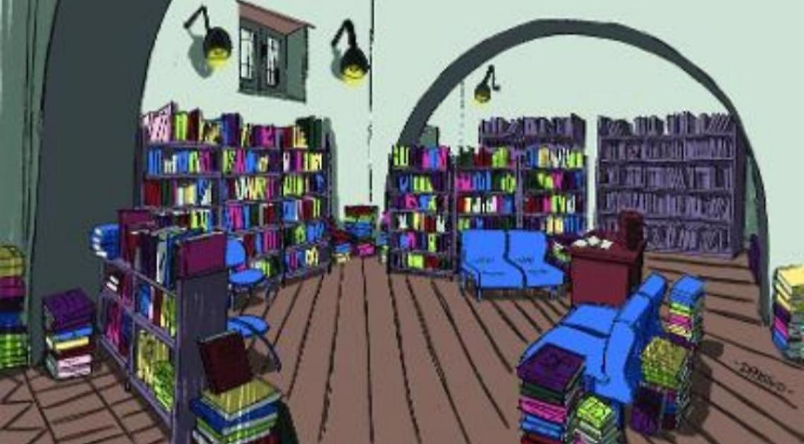 "Dona un libro a Sora", il sogno di due ragazzi: una biblioteca diversa per la città