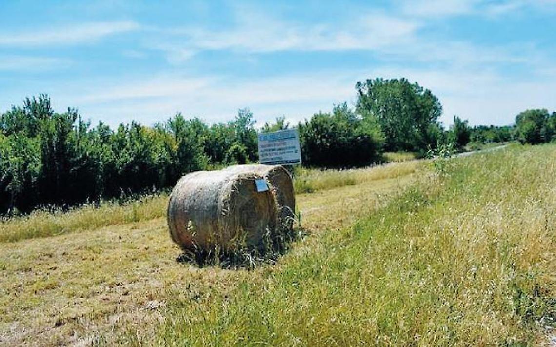 Fieno raccolto di notte sui terreni "avvelenati": scatta il sequestro