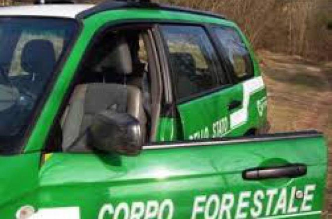 Traffico di rifiuti nella cava, 2 fratelli a processo: fissata l'udienza preliminare