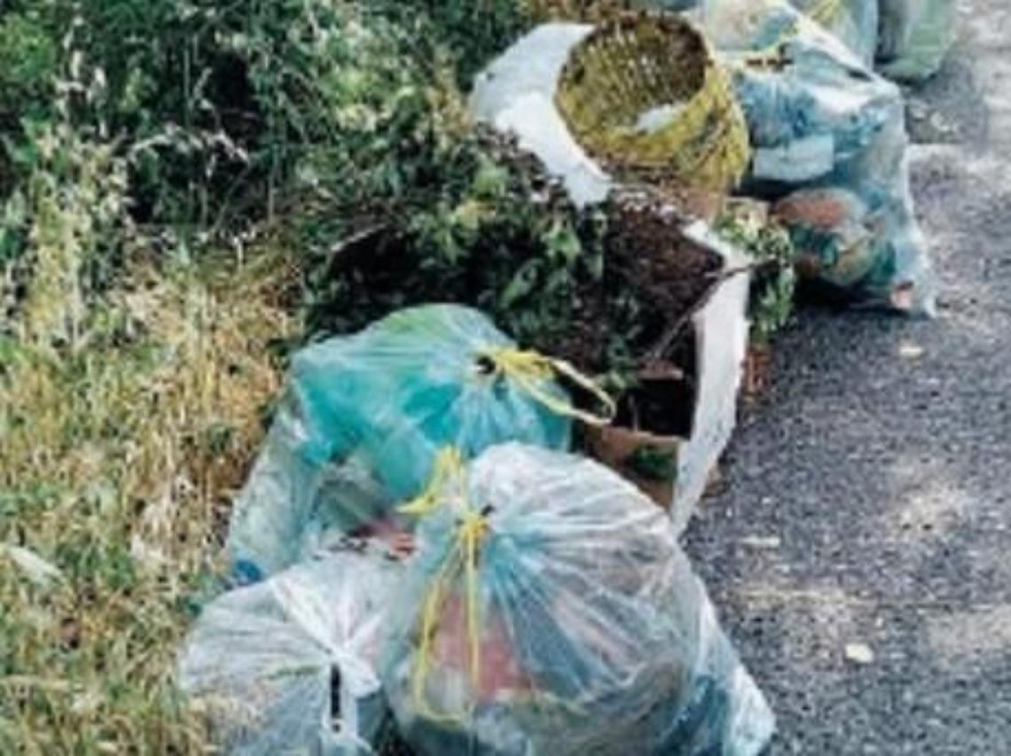 Rifiuti ovunque, volontari in campo per ripulire: raccolti oltre 460 chili di scarti