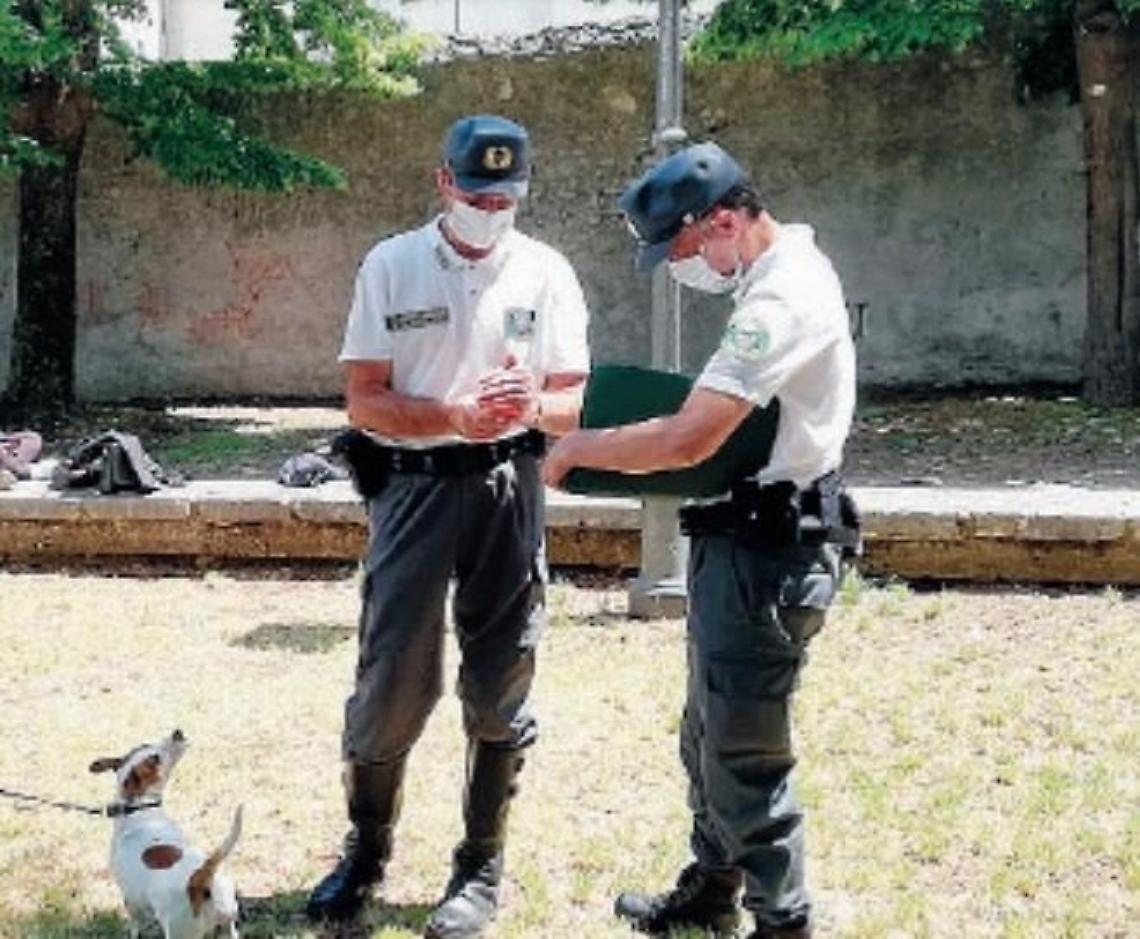 Lotta al randagismo: microchippatura gratuita per i quattro zampe