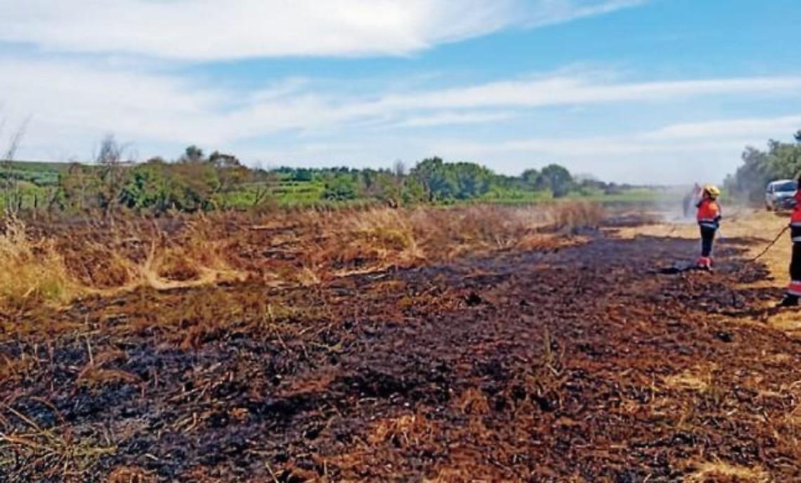 Stretta contro gli incendi, controlli a tappeto: pronte denunce e multe