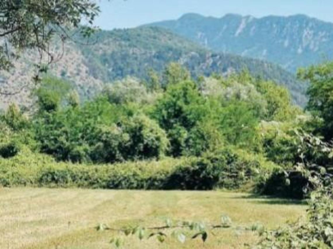 Fieno “vietato” raccolto nel buio: immortalato l'autore nella notte