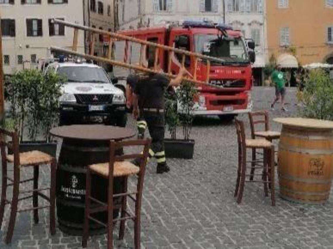 Invasione di calabroni in centro: intervengono pompieri e Protezione Civile