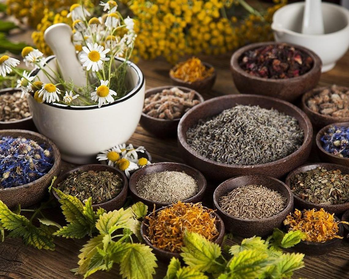 Fitoterapia, successo per l'incontro tra scienza medica e degustazioni
