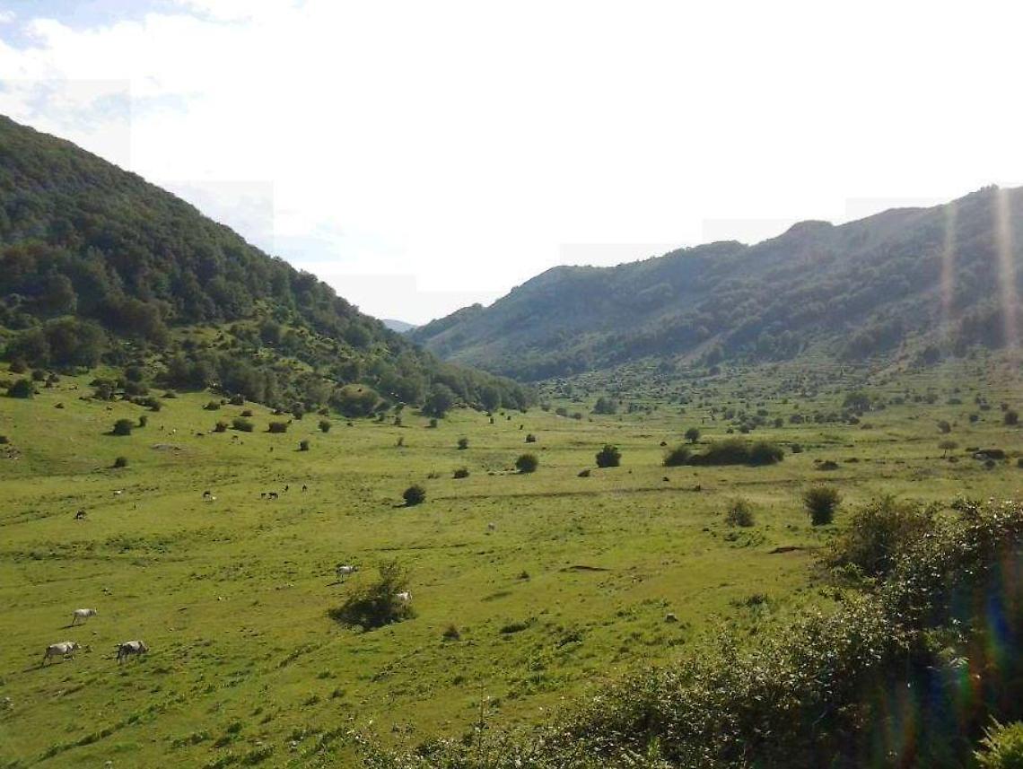 Niente campeggi per paura del Covid: Santa Serena sarà off limits
