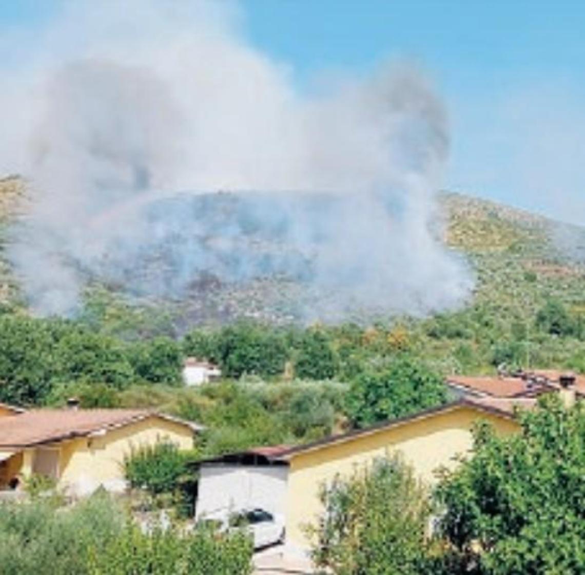 Incendio devasta le colline: ettari di macchia distrutti dal fuoco