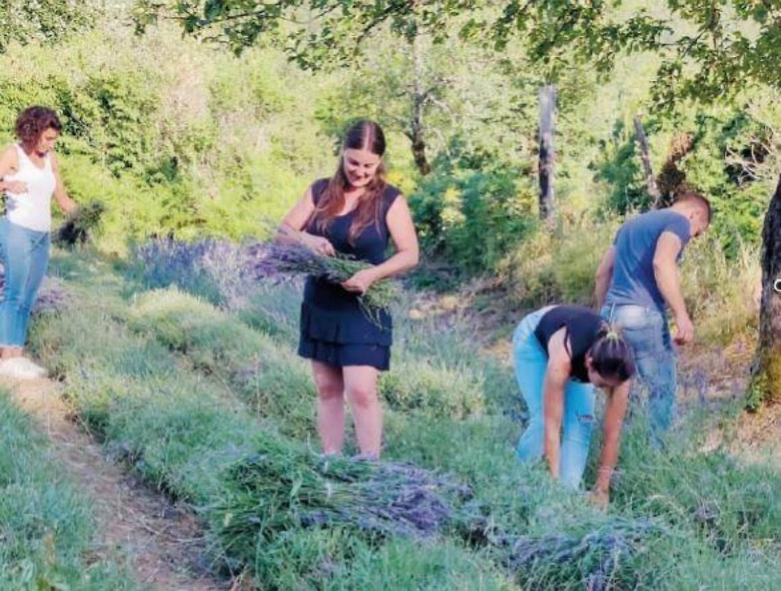 Una sfida al profumo di...lavanda: la rivoluzionaria azienda di Salvatore e Stefania