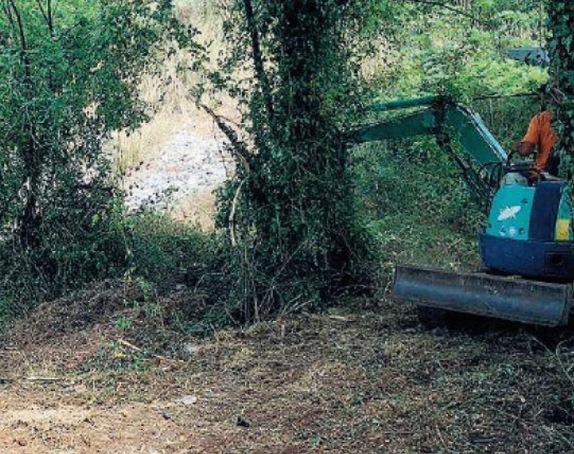 Amaseno, operazione decoro e sicurezza: ripulita la strada di Don Chei