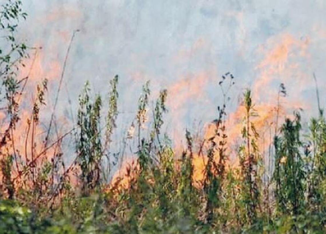 Due incendi in poche ore e natura devastata. Ambientalisti: massima allerta