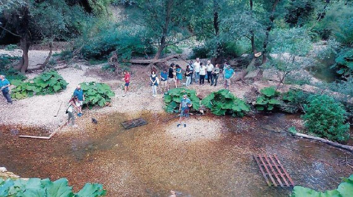 Sos fiume Cosa: manca l'acqua. C'è il rischio che scompaia del tutto