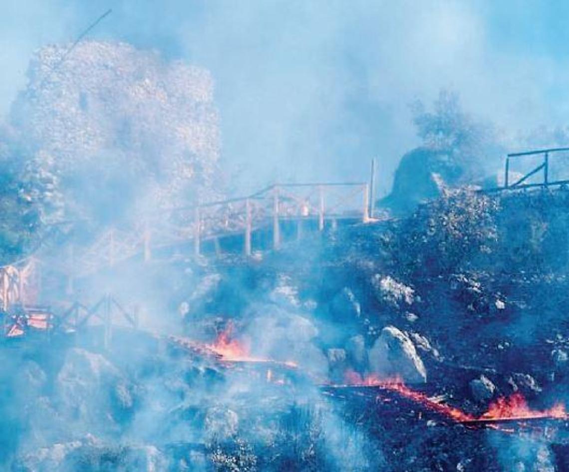 Aziende agricole in ginocchio per gli incendi. Coldiretti: subito risarcimenti
