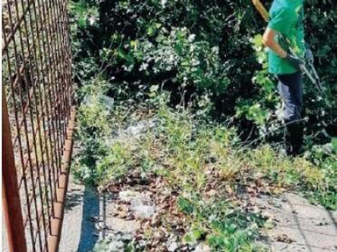 Ceccano, Parco astronomico: accurata pulizia dei volontari