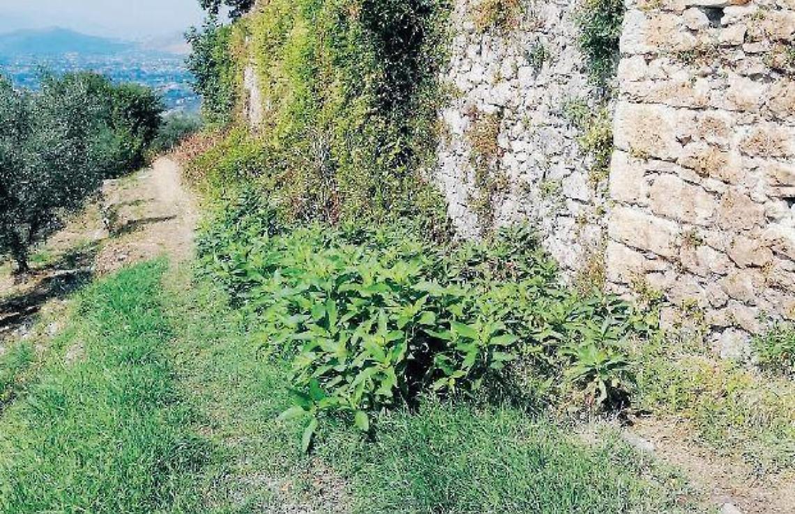 Veroli, una vista mozzafiato: ma arrivarci è