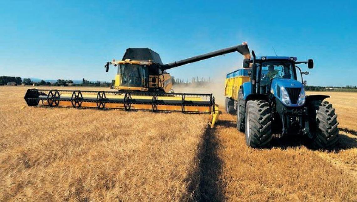 Vola alto il prezzo del grano: guadagni scarsi per gli agricoltori