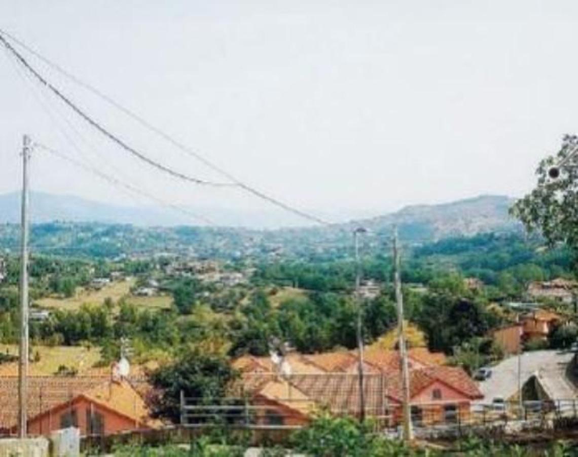 Colpi in pieno giorno in stile Far West: preso un cane con oltre 30 'piombini'