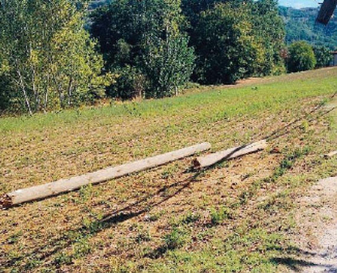 Morte Nicolas, "Uomini e Donne" e "Amici" si stringono alla famiglia