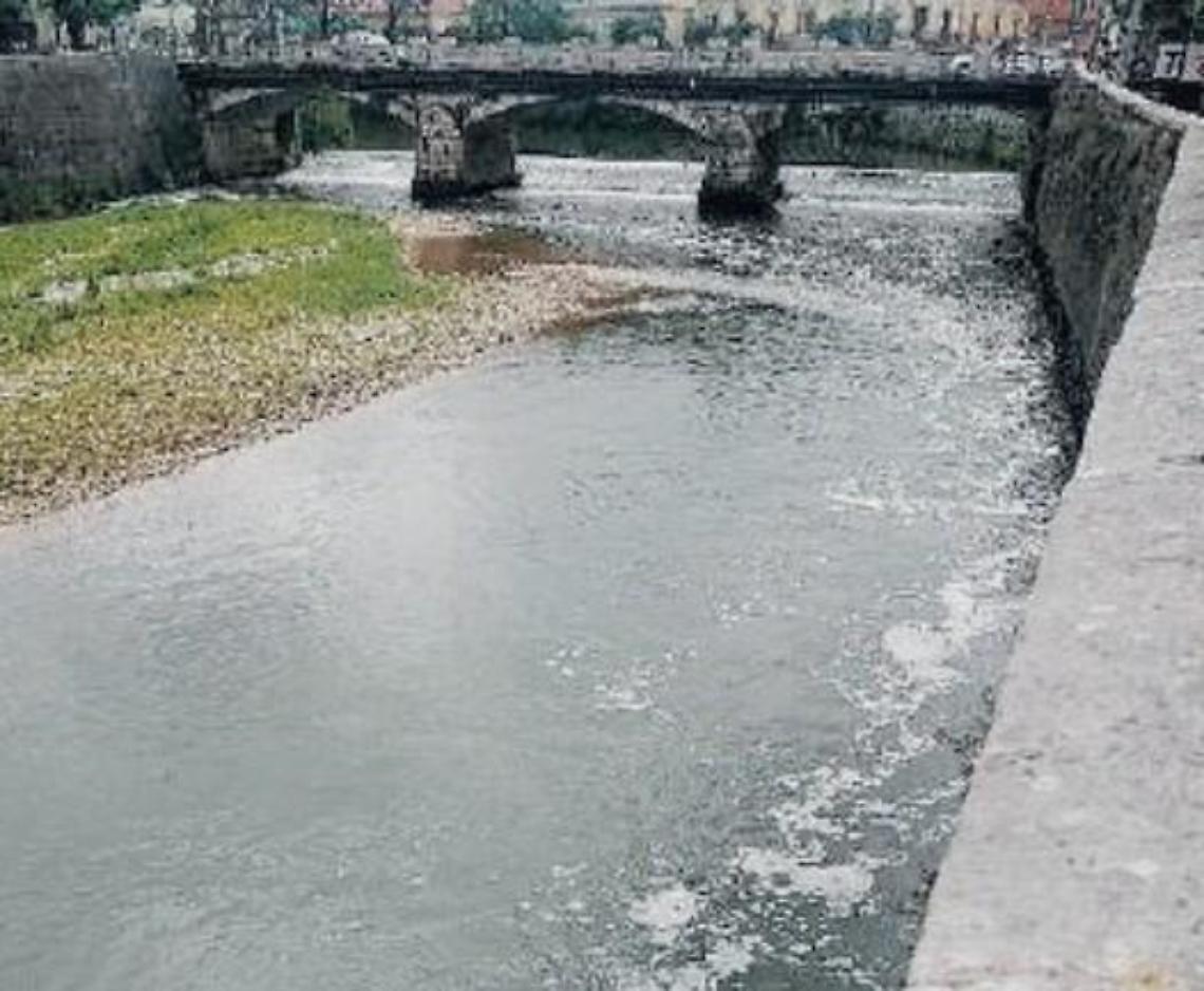 Liri inquinato, c'è la prova: rilevati metalli, tensioattivi e batteri fecali