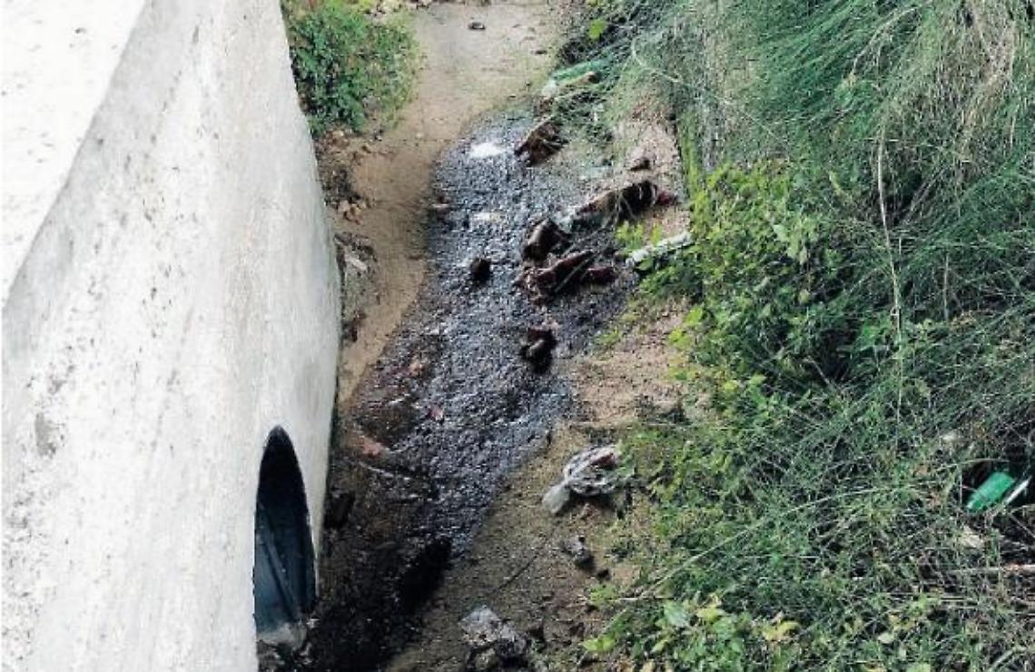 Rifiuti abbandonati, il deposito è un fossato: lo scempio sotto il ponte
