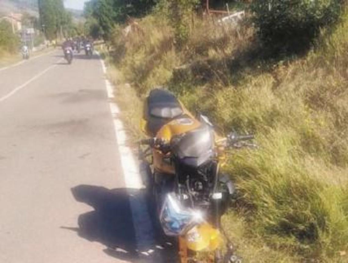 Travolge un cinghiale e resta gravemente ferito: soccorso dal biker che poi muore