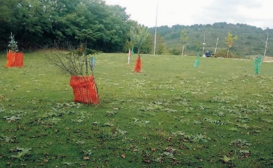 Area giochi e zona verde in balìa di vandali e animali notturni: il degrado