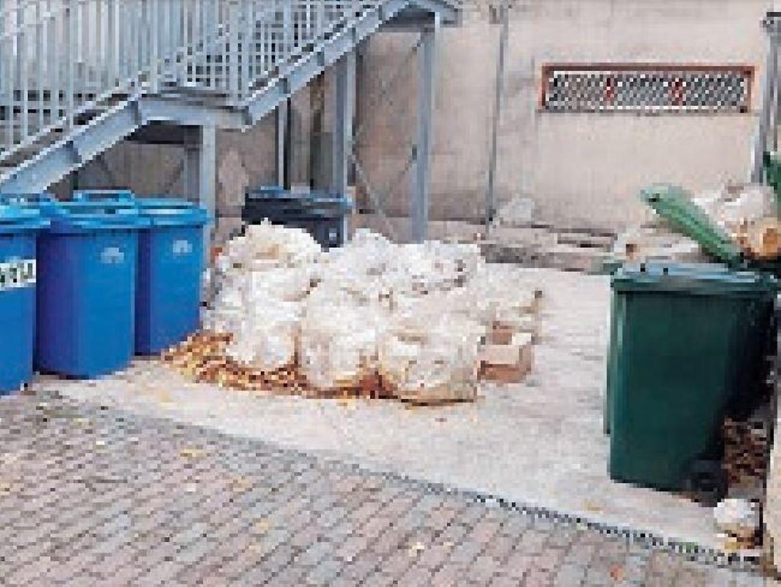 Buste piene di immondizia a pochi metri dai bambini: mamme in protesta