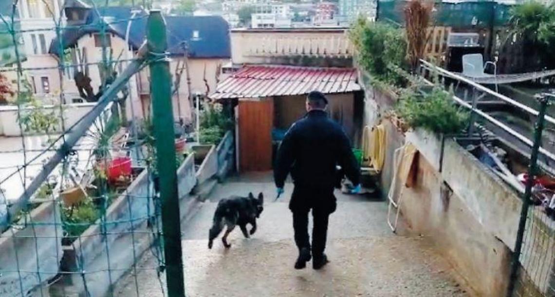 Spaccio di droga a conduzione familiare: attesa per gli interrogatori