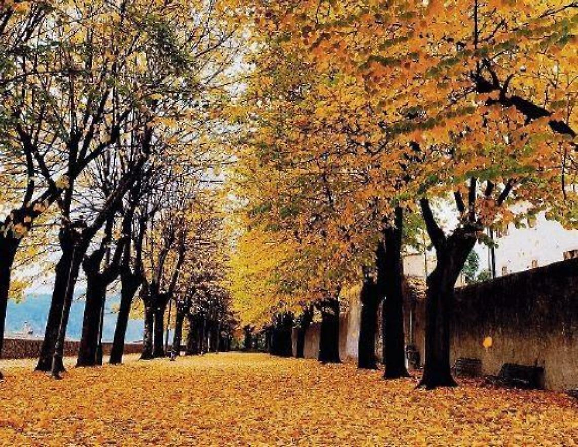 L'Acropoli si colora di giallo...e gli scatti dei fotografi fanno il giro del web