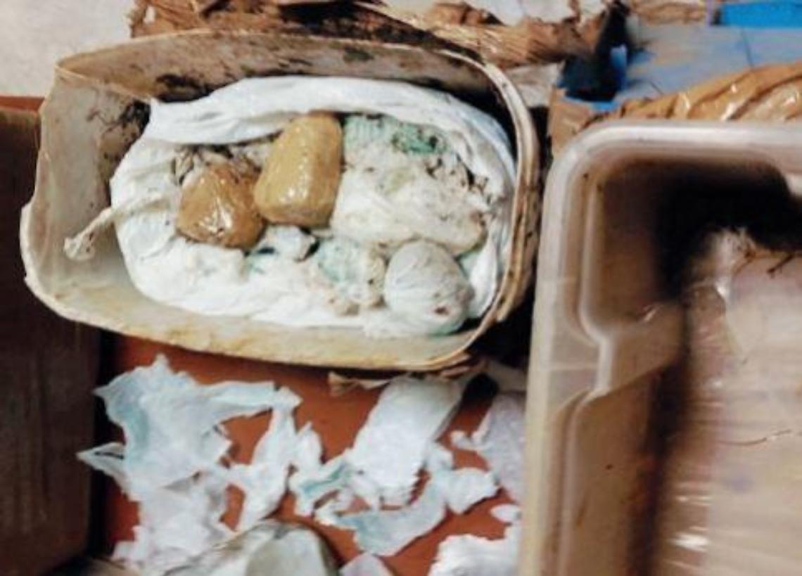 Cocaina in una pineta, smantellato il traffico: 9 indagati verso il rito abbreviato