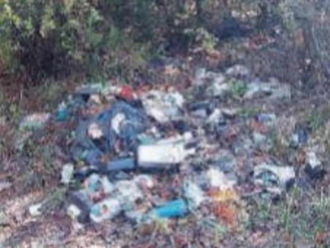 Abbandono selvaggio di rifiuti: pneumatici, frigoriferi e scarti nel bosco