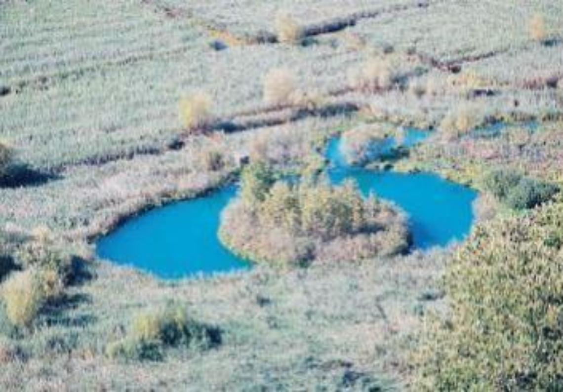 La Rai arriva a Posta Fibreno: speciale sull'isola galleggiante