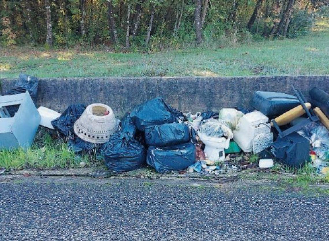 Rifiuti indifferenziati, raccolta dimezzata: "Così aumenterà l'abbandono"