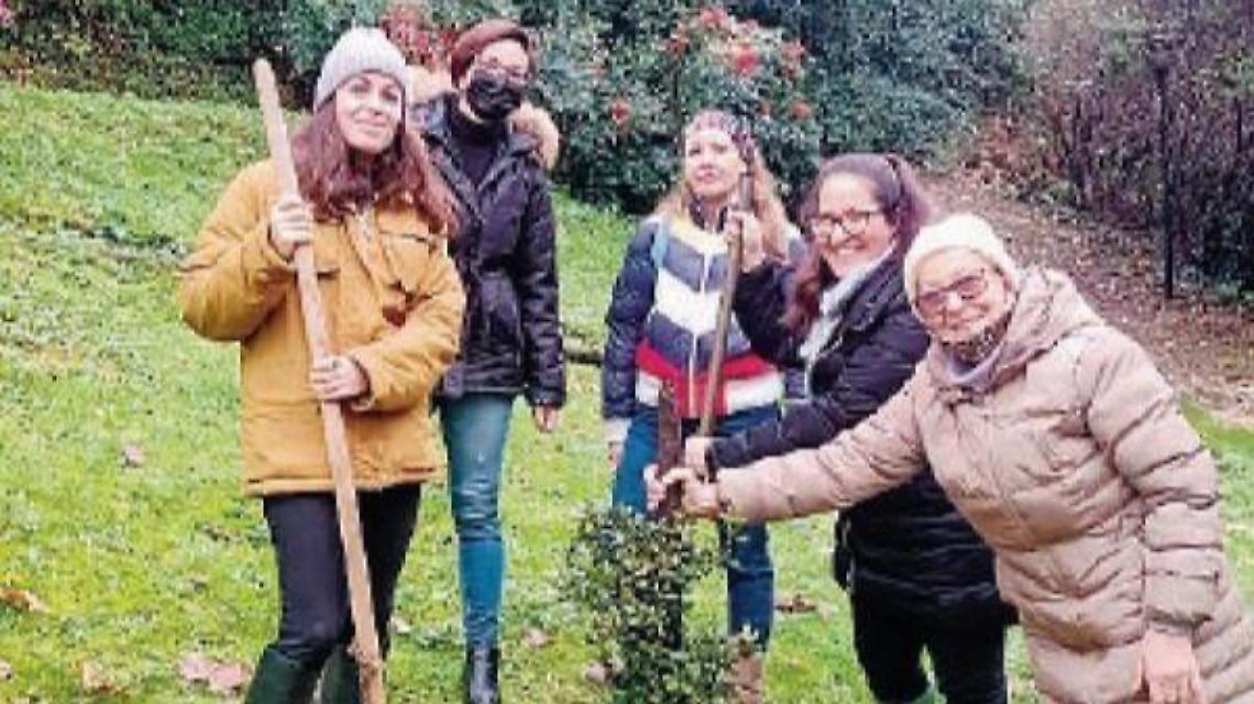 Cinque nuove piante al parco delle Colline per la festa dell'albero