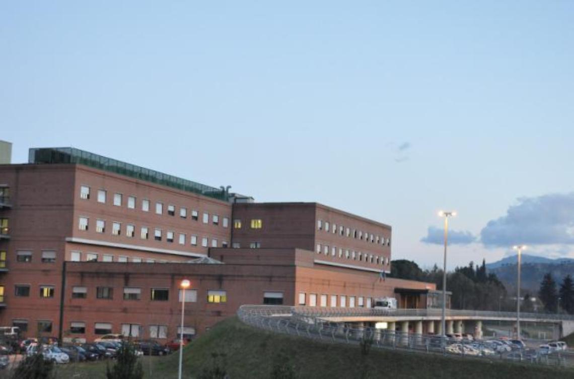 Dramma dell'Immacolata, sbranata dai cani di casa: l'anziana non perderà il braccio